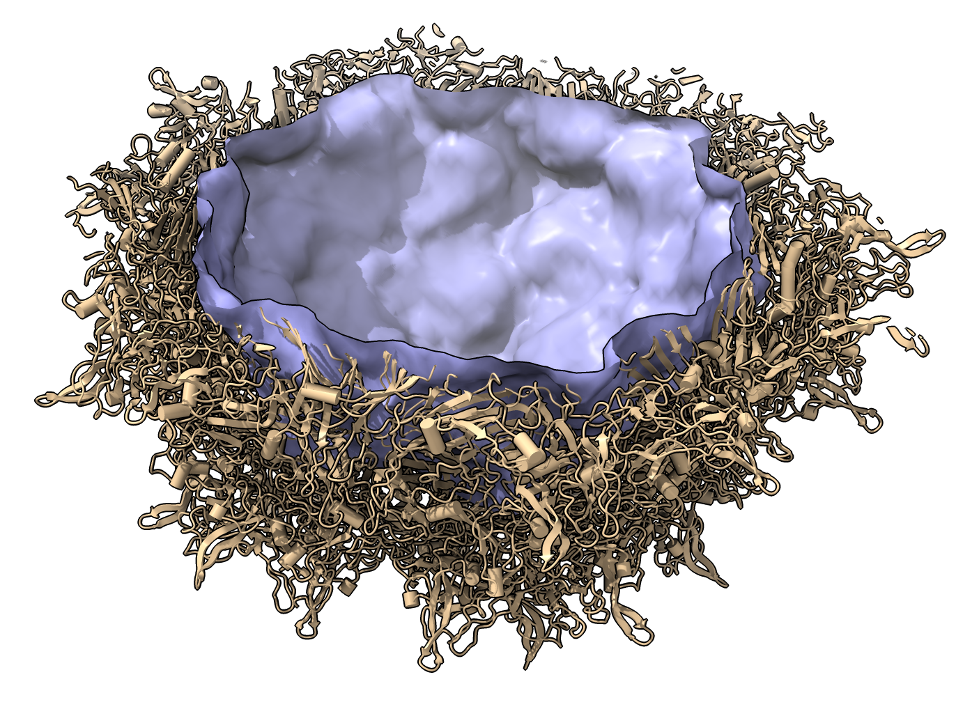 Adeno-associated virus interior